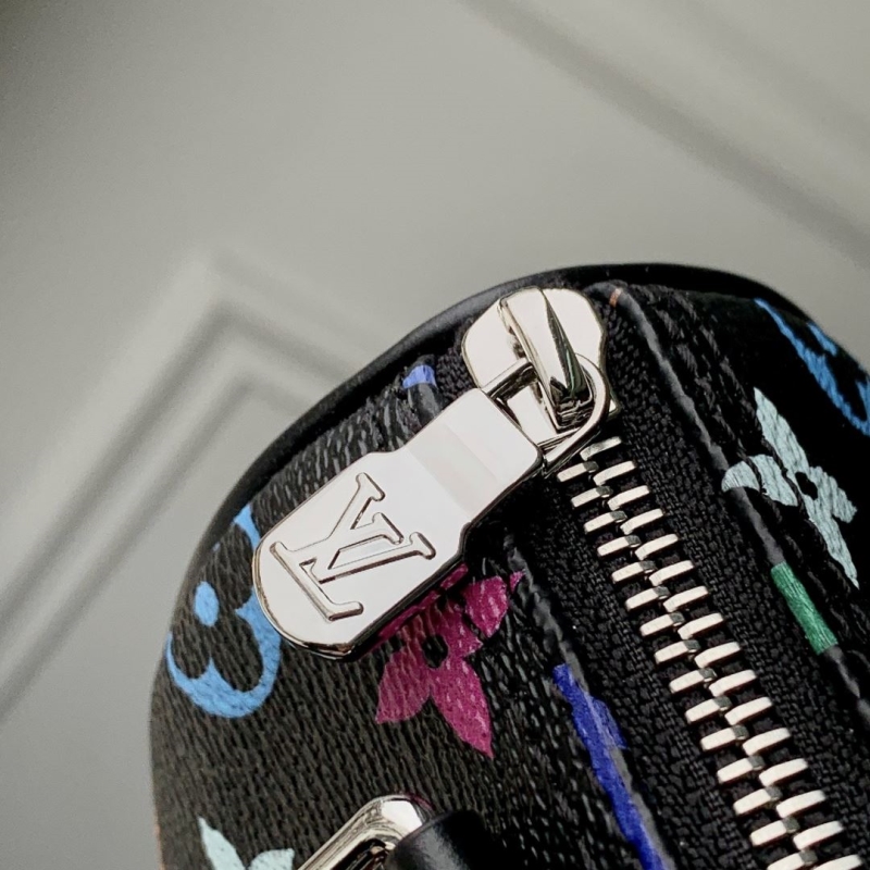 LV Speedy Bags